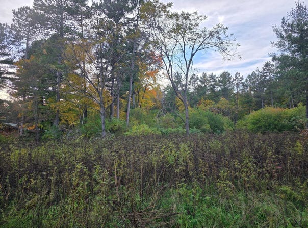 MCKINLEY ST lot: 4-5, Tomahawk, WI 54487