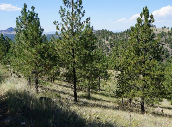 Ridge Crest Lane, Cascade, MT 59421