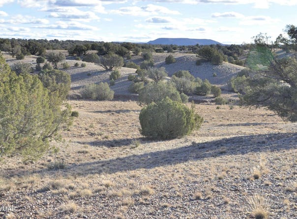 691 CR 5270, Concho, AZ 85924