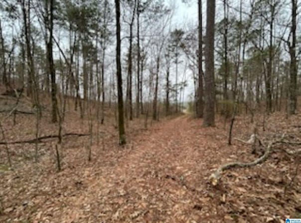 HIGHWAY 55 lot: 0, WILSONVILLE, AL 35186