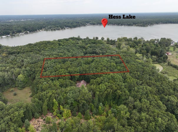 9433 S ANNIE LANE, NEWAYGO, MI 49337