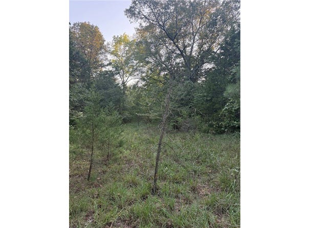 10 Earl Lane, Dover, AR 72837