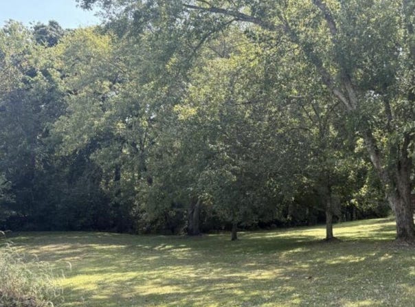 Winfred Brady Road, Bennett, NC 27208