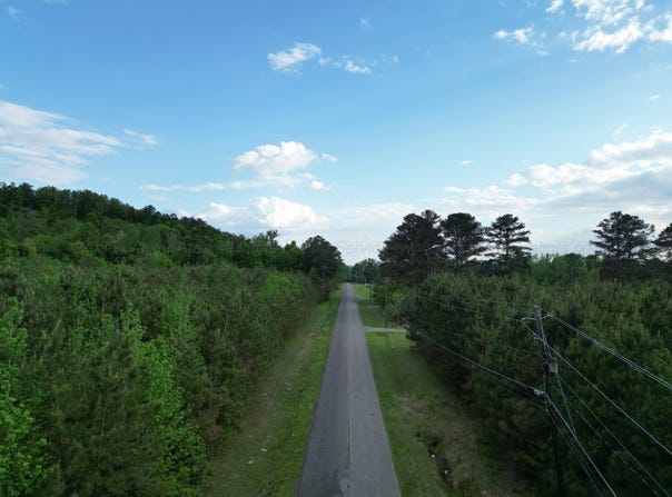 DOGTOWN Rd, Carbon Hill, AL 35549