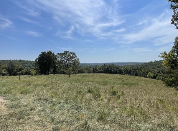 County Road 114, Ava, MO 65608