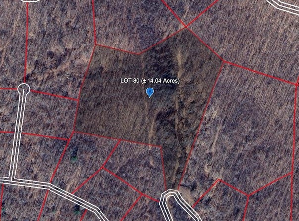 185 GERBER DAISY TRAIL, BRAGG, WV 25918
