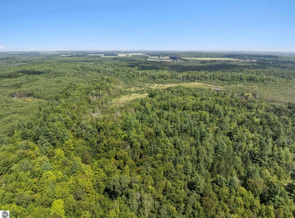 4517 SE PIERSON CREEK ROAD, KALKASKA, MI 49646