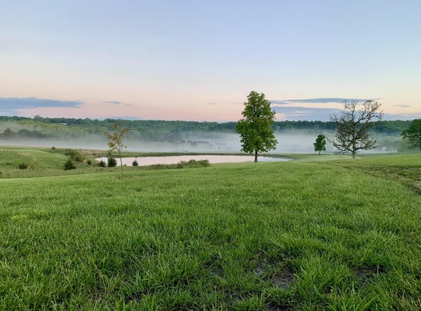 12 Fineview Lane, Long Lane, MO 65590