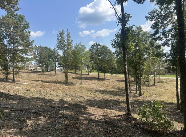 9 Stonegate Place, Cohutta, GA 30710