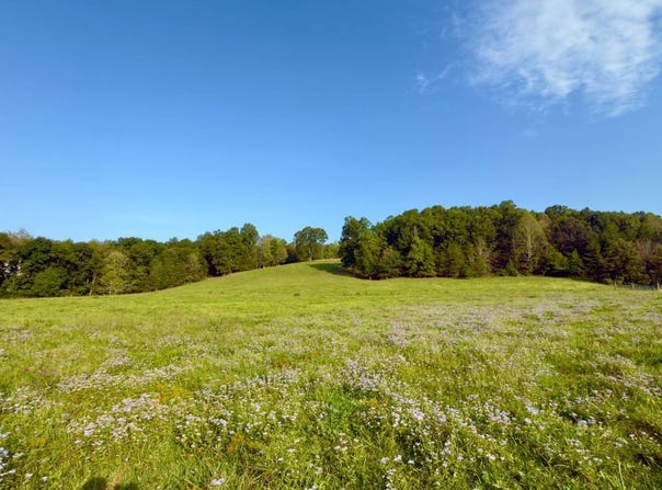 Greenbriar Road, Portsmouth, OH 45648