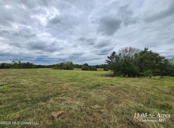 11.05 Bub Jamison Road, Coldwater, MS 38618