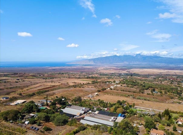 248 Piliwale Rd, Kula, HI 96790