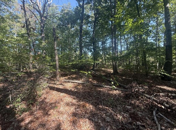 Dixie Hill Rd lot: 5, Buckingham, VA 23921