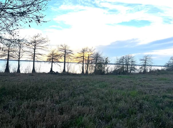 Grapevine Ave, Logansport, LA 71049