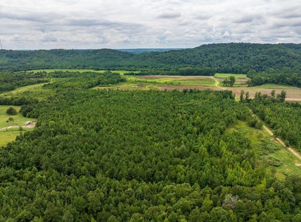 Double Pond Trail, Hayden, AL 35079