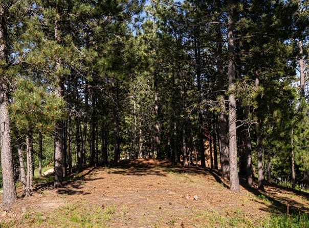 Davidson Court, Lead, SD 57754