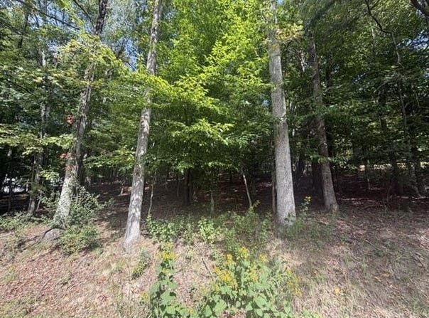 Tinker Mill Rd, Daleville, VA 24083