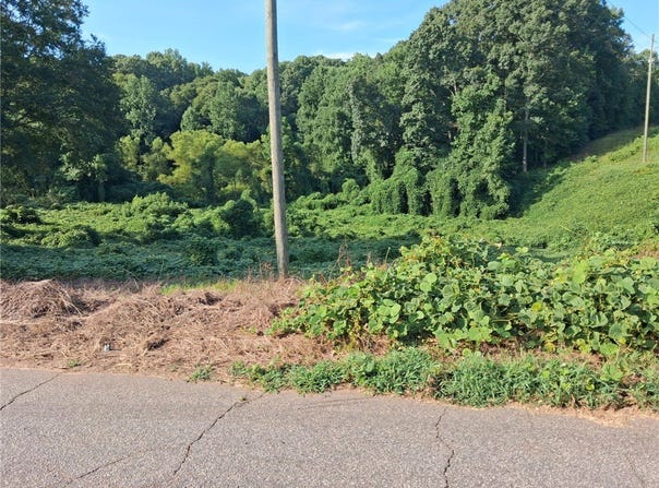 Overbrook Drive, Liberty, SC 29657