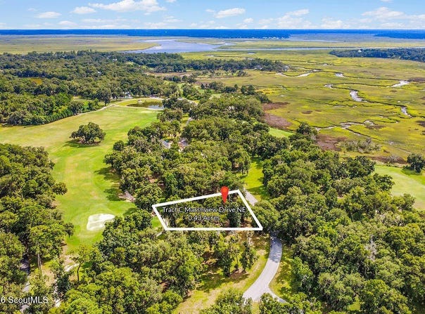 C Marshview Drive NE, Townsend, GA 31331