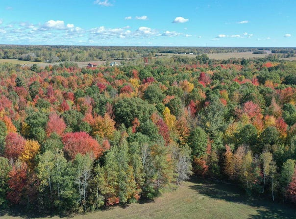 3706 N Chippewa Road, Coleman, MI 48618