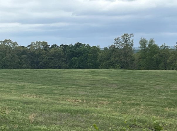 Spires Rd, Damascus, AR 72039
