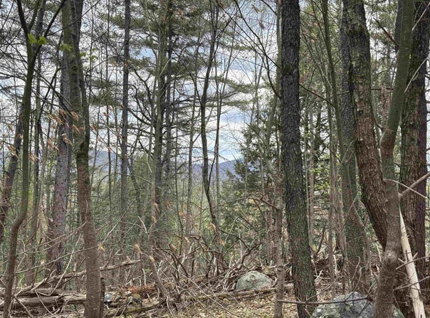 0 Snell Road, Chester, VT 05143