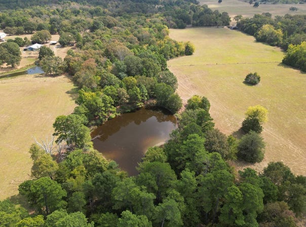 20 AC N 4240 Rd., Hugo, OK 74743