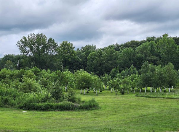 Perkins Drive, Boonville, IN 47601