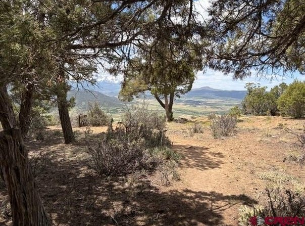 Pine Drive lot: 4, Ridgway, CO 81432