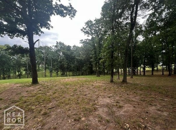2910 Casey Springs, Jonesboro, AR 72404