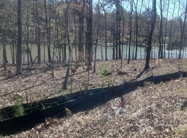 1061 Refuge Place, Chapin, SC 29036
