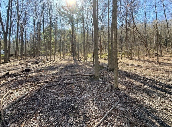 Fitzgerald Road, Burdett, NY 14818