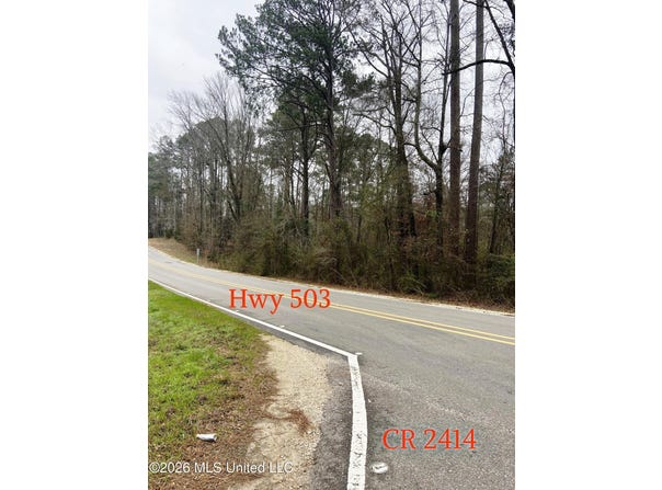 NE Hwy 503, Rose Hill, MS 39356