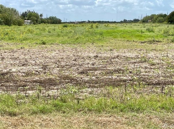 FM 1015 Road, Progreso, TX 78579