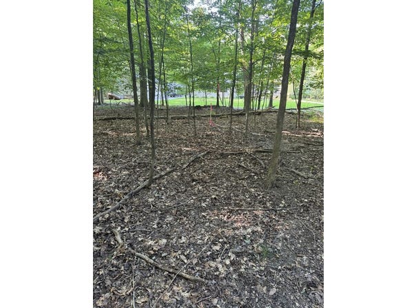 4 Arrowhead Ct, Mount Gilead, OH 43338