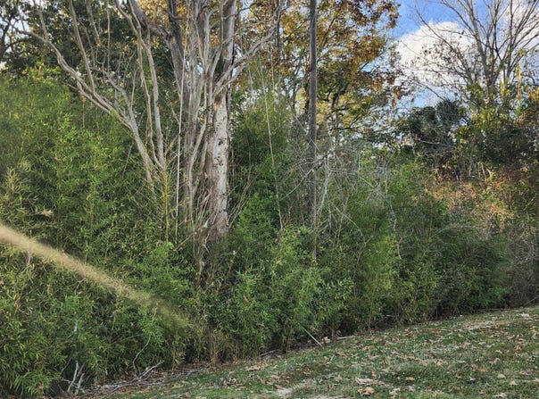 GREENWELL SPRINGS RD lot: W/2, Baton Rouge, LA 70814