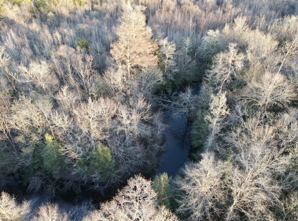 Co Hwy 20, Evergreen, AL 36401