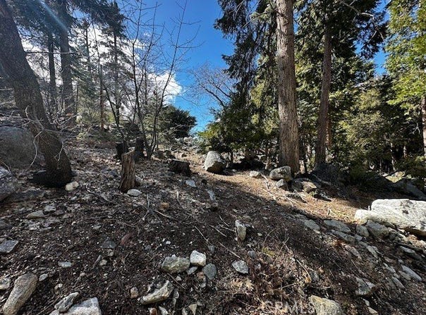Fir, Forest Falls, CA 92339
