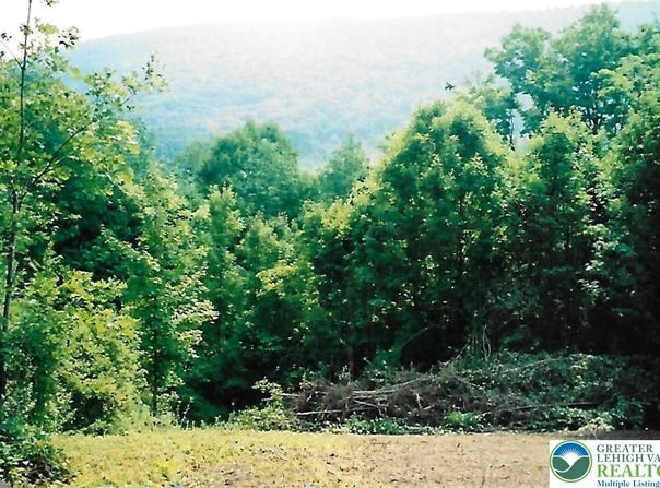 Pantherlick Road, PA 18846