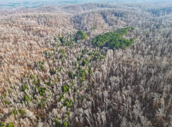 Lot 59 Rustic Valley Dr, Waverly, TN 37185