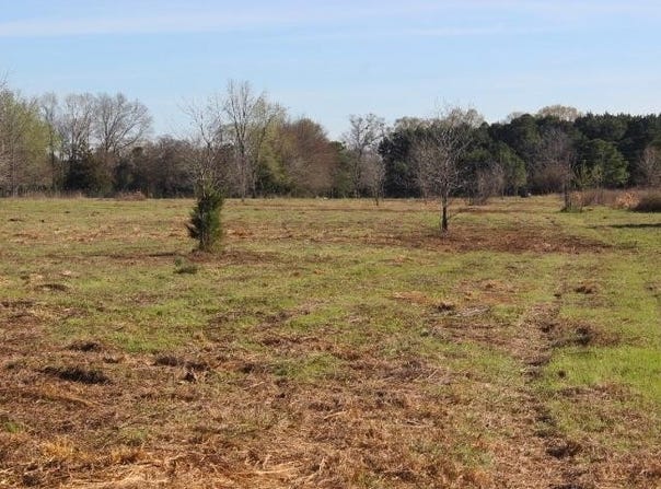 --TBD-- FM 2208, Harleton, TX 75651