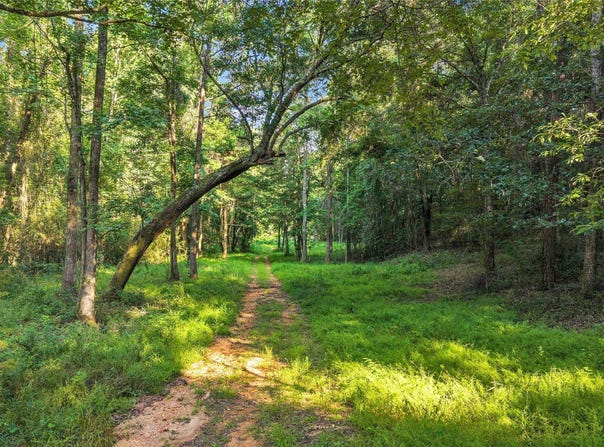 1 Burt Mill Road, Tallassee, AL 36078