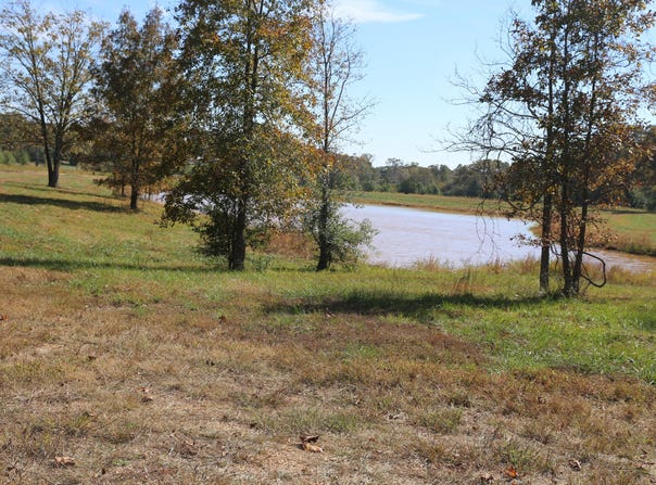 Wild Turkey Drive, West Plains, MO 65775