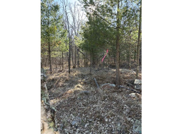 5xx 7th St, Moose Lake, MN 55767