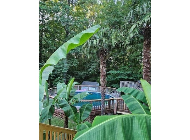 3107 Balkan Drive, York, SC 29745