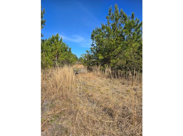 Fender Rd, Naylor, GA 31641
