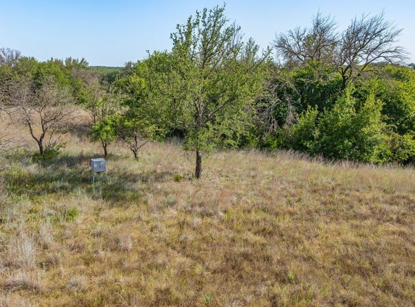 523 Ava Grace Lane, Dublin, TX 76446