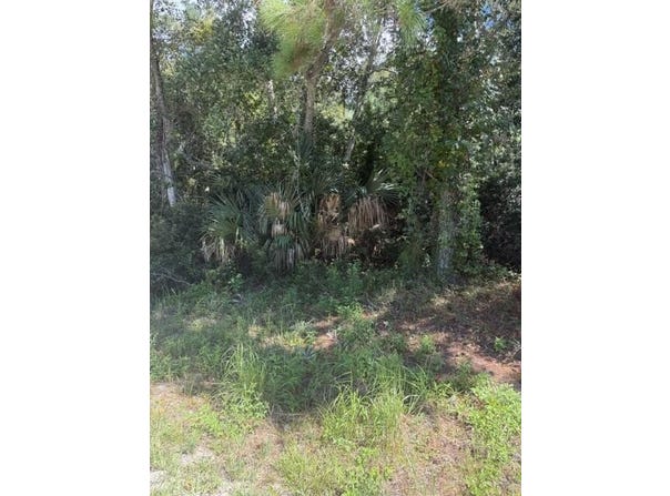 147 Doe Ln, Carrabelle, FL 32322