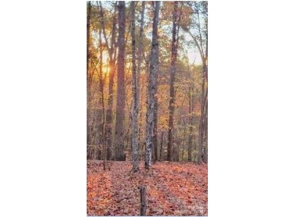 V/L Trellis Drive, Marion, NC 28761