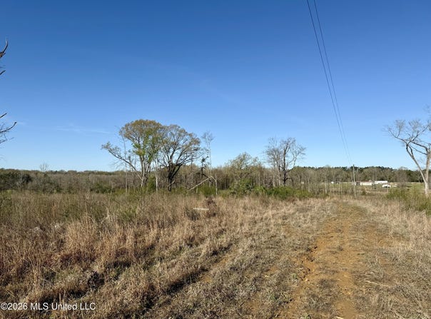 385 Vanarsdale Road, Pickens, MS 39146